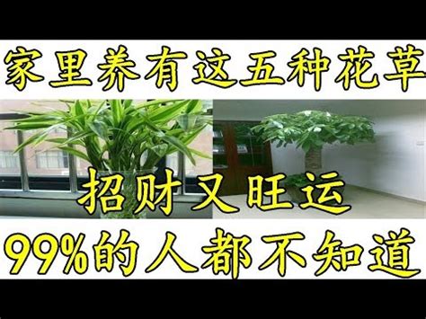 萬年青放門口|大門口適合放什麼植物？風水師推薦發財樹、富貴竹、。